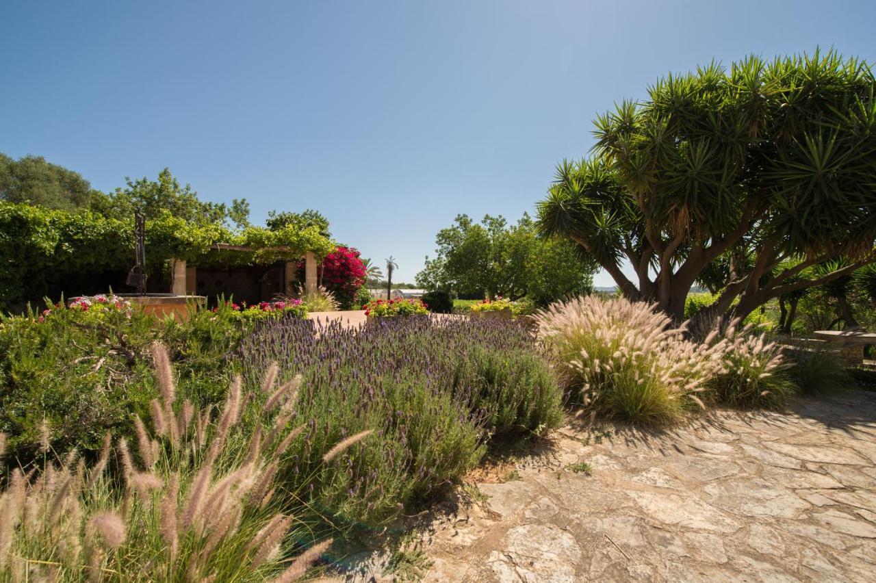Agroturismo Can Feliu Поррерас Экстерьер фото